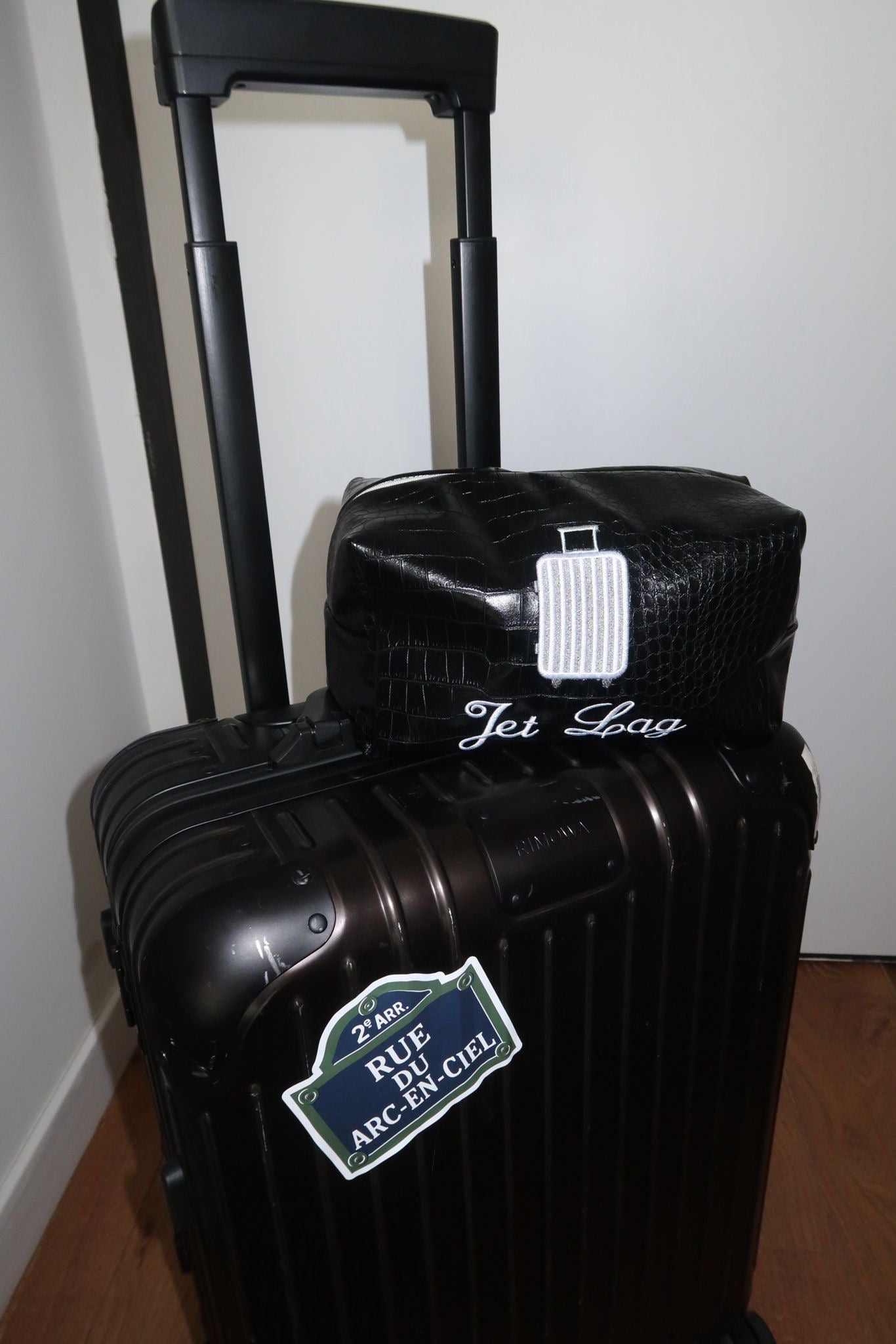 “Jet Setter” Beauty Pouch