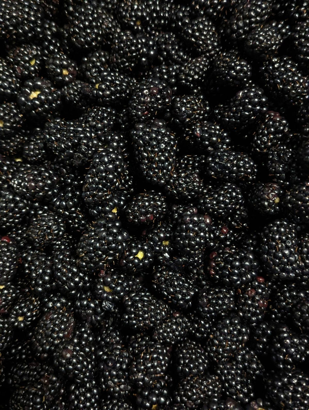 “Blackberry” Sequin Pocket Bag