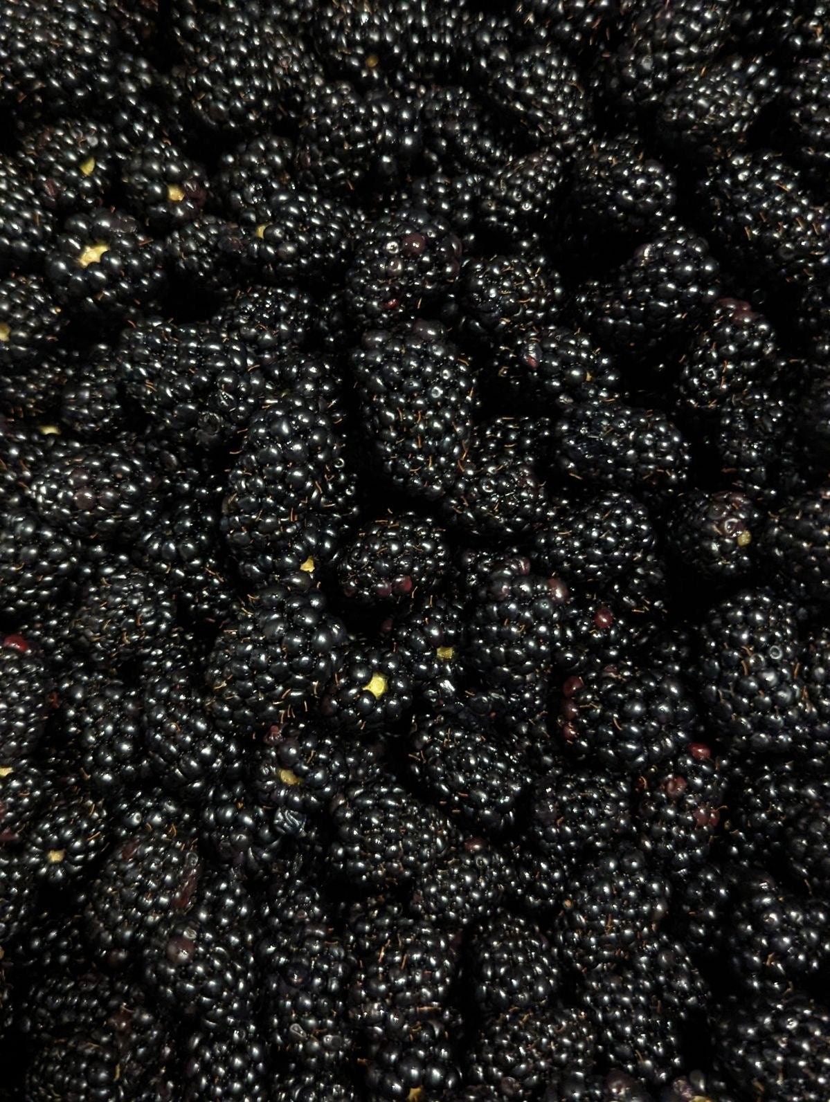 “Blackberry” Sequin Pocket Bag