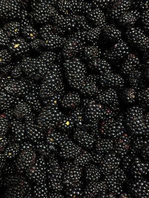 “Blackberry” Sequin Beauty-Pouch